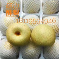百年贡梨砀山酥梨大量上市了