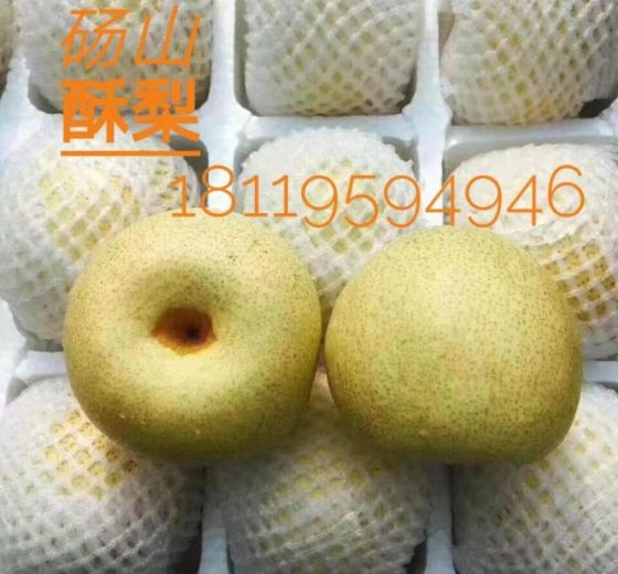 2019年安徽砀山酥梨价格