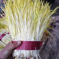 大量供应本地精品蒜黄