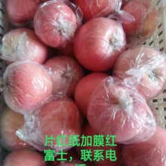 临猗北景纸加膜红富士苹果，膜袋红富士苹果大量上市