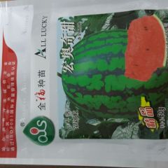 甜王西瓜种子 高品质甜王西瓜种子 宏奥奇甜