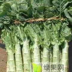 临沂市兰陵县莴笋大量上市，质优价廉。