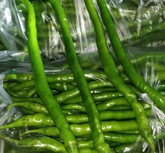 2019年河南夏邑线椒价格