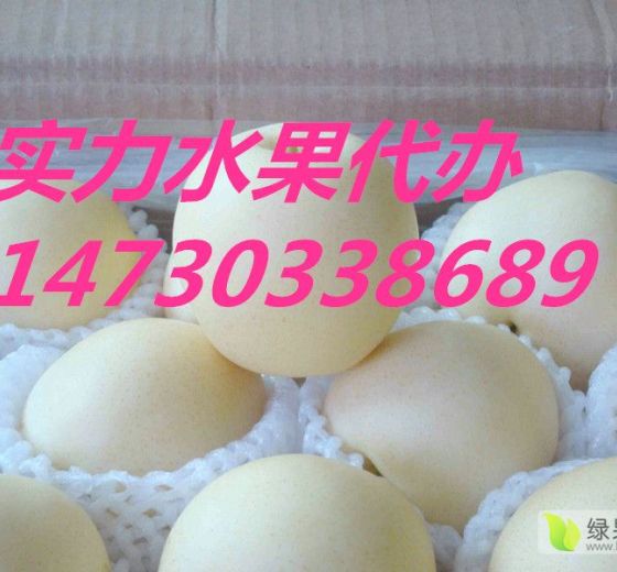 2019年河北晋州市皇冠梨价格