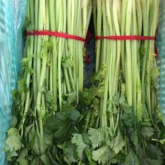 沂南芹菜大量上市 。
