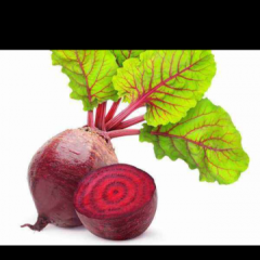 江苏沛县甜菜头