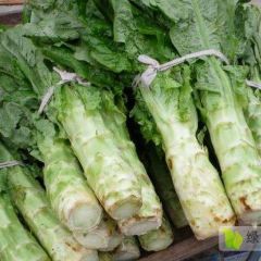 莴笋大量上市