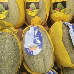 西州蜜二五甜瓜大量供应