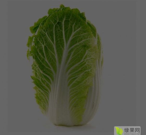 2019年河南粱园青杂三号价格