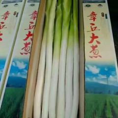 正宗章丘大葱自家种植产地直销女郎山大葱