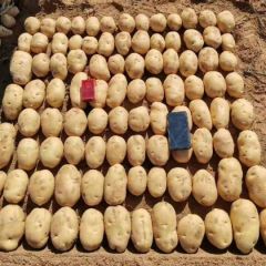 常年代销代购☞一条龙服务