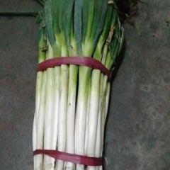 葱白长30---50，价格公道，毛葱2毛，