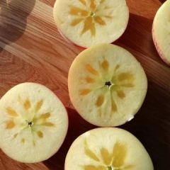 冰糖芯富士苹果降价销售中抓紧来