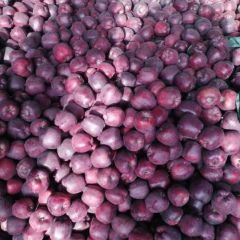 甘肃苹果花牛，高山货