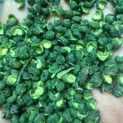 库存花椒紧急出售