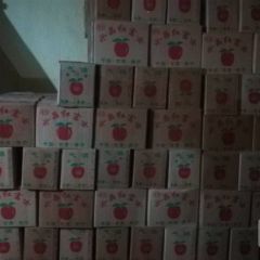 急售静宁山地优质苹果