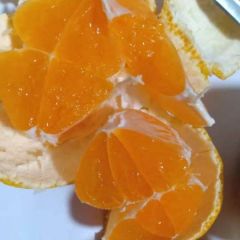 蜜桔，丑桔，橙子大量批发