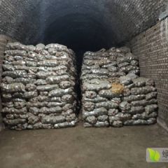 销售精品v7土豆