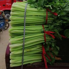 西芹大量有货小刘代办行