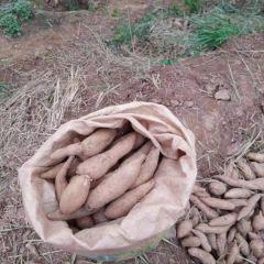 眉山红薯（黄皮红心）3两～1斤，产地直供，价格便宜