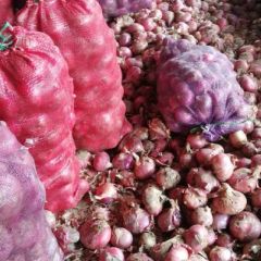 大量购70以上二红洋葱