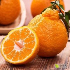 丑橘，不知火 耙耙柑