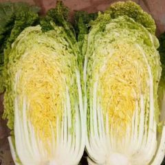 河南省安阳市内黄县优质娃娃菜