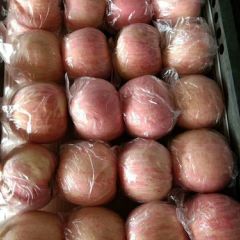 山西万荣高山冰糖心红富士大量供应