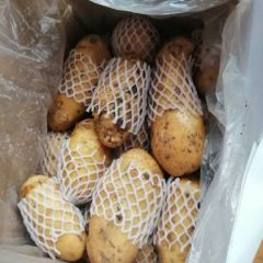 大量供应优质冷库土豆
