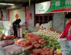 大量供应山东北京新三号大白菜，加工所有类型包装