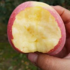 不打价格战，只拼质量关。