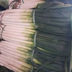 河南安阳滑县优质大葱出售，诚信为本