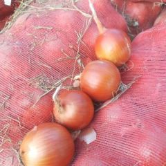 甘肃省金昌市朱王堡镇