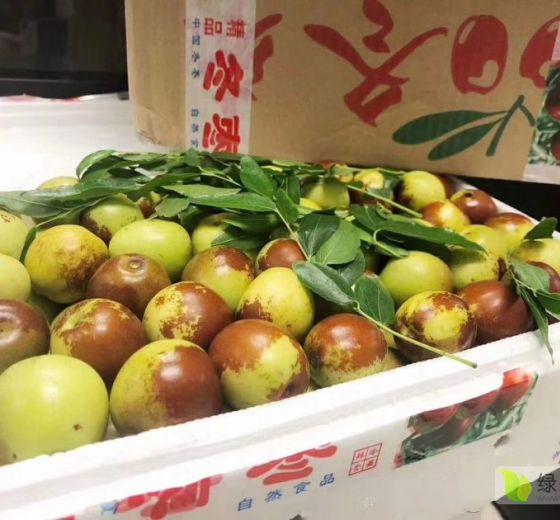 2019年山东沾化沾化冬枣价格