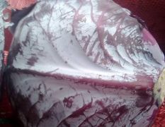 蔬菜，甘蓝，紫甘蓝1112，阿法罗