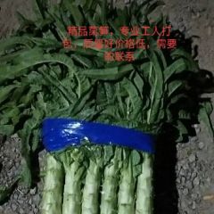 兰陵县莴笋大量上市，质量好，无空心裂口