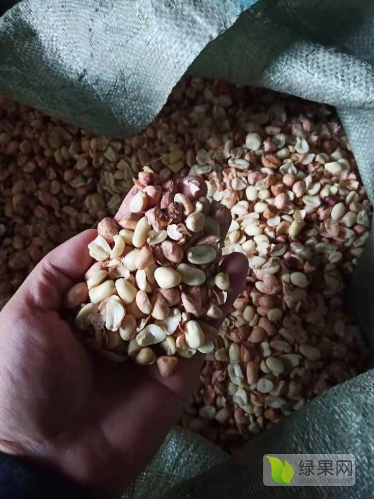 2019年山东沂南花生价格