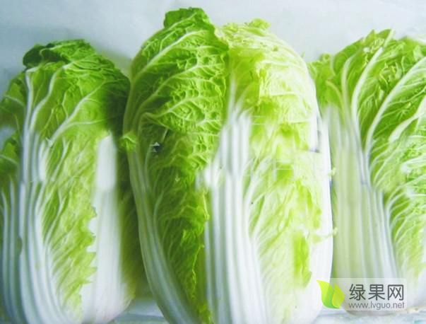 2015年遼寧凌海韓國黃心白菜價格
