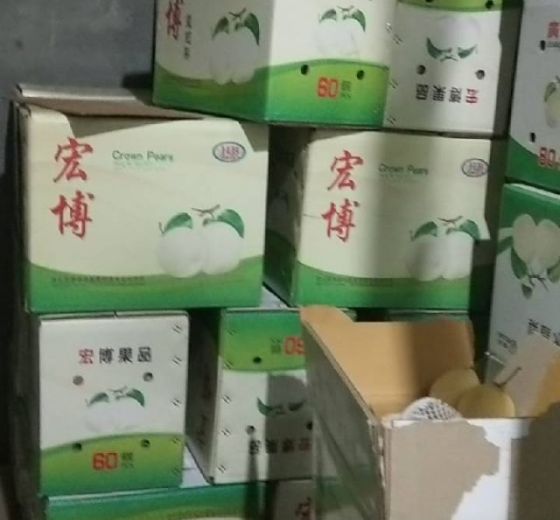 2020年河北赵县鸭梨价格