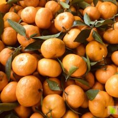 大量上市，颜色已上红