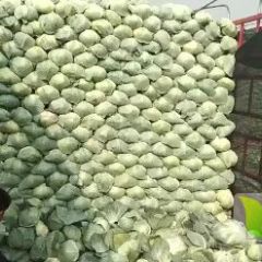 优质奥奇娜，金丰，产地直销，价格美丽，诚信合作，