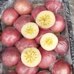 大量供应运城高山纸加膜红富士苹果