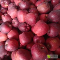 甘肃优质花牛生产基地。