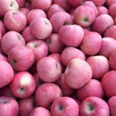 烟台栖霞红富士苹果