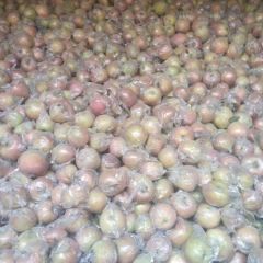 普通苹果 红富士 需要私聊