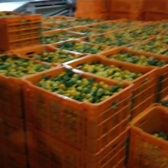 欢迎你来广西和作共发