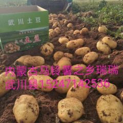 内蒙古呼和浩特市武川县瑞瑞