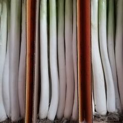 章丘大葱以高大脆甜文明全国，