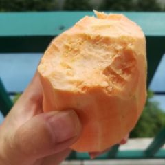 四川红薯 红皮红心 黄心 产地直发 上车价0.5