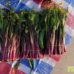  汉川精品红菜苔。